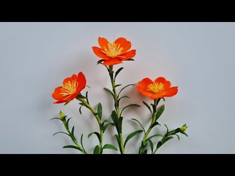 How To Make Portulacaceae Paper Flower / Paper Flower / Góc nhỏ Handmade