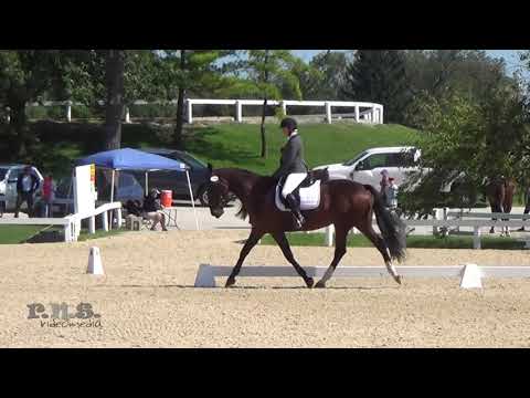 Stefanie Popp & Kittyhawk American Eventing Championships 2021