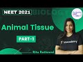 Animal Tissue Part 1 NEET 2021 NEET Biology Ritu Rattewal