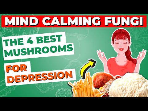 Mind Calming Fungi: The 4 Best Mushrooms for Depression