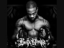 Busta Rhymes - Throw It Up ft. Lil' Wayne & Ludacris
