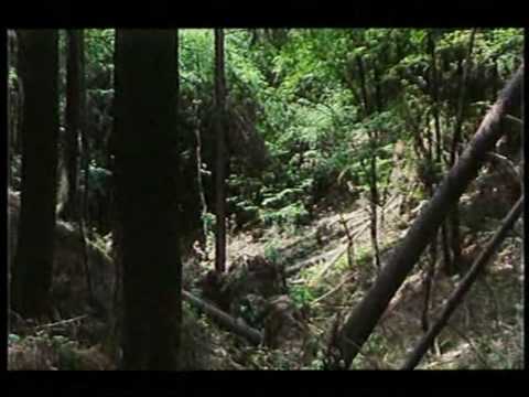 B.S.P. - Zeme vzdalena (official videoclip)