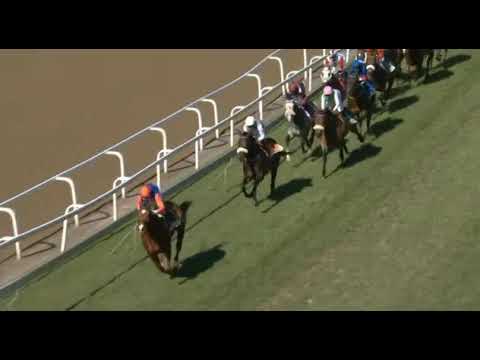 SHANGO - Hollywoodbets 2200 (Gr3)