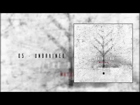 The Materia - Unbrained