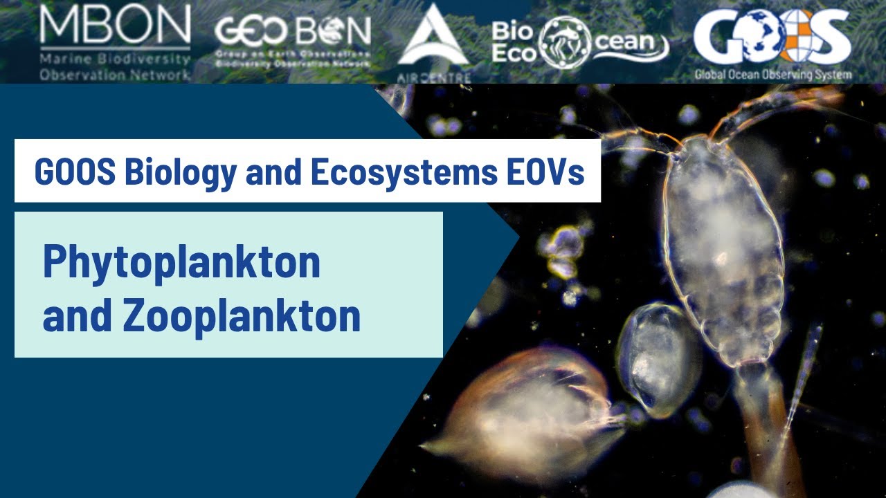 Webinar: GOOS Phytoplankton and Zooplankton Essential Ocean Variables