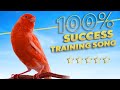 Canary 12h The Best Training Song