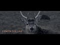Edwyn Collins - I'm Ok Jack (Official Video)