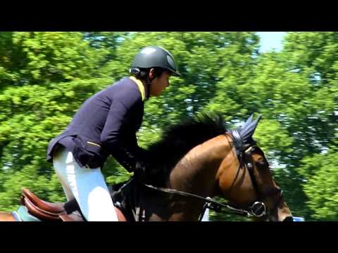 Pferd  International in Muenchen www.muenchenfenster.de