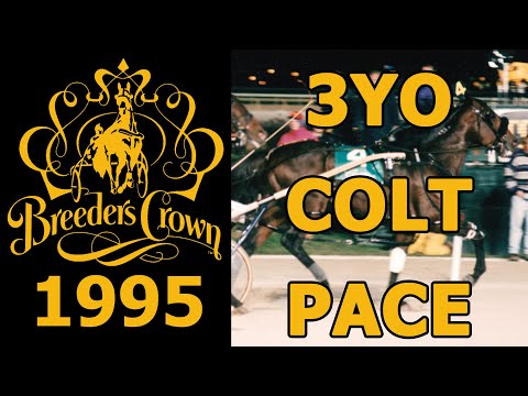 1995 Breeders Crown - Jenna's Beach Boy - 3YO Colt Pace