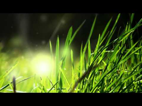 Rugul Aprins Londra - Te laudam, Te laudam [Album NOU: Dar nu te teme] 2016