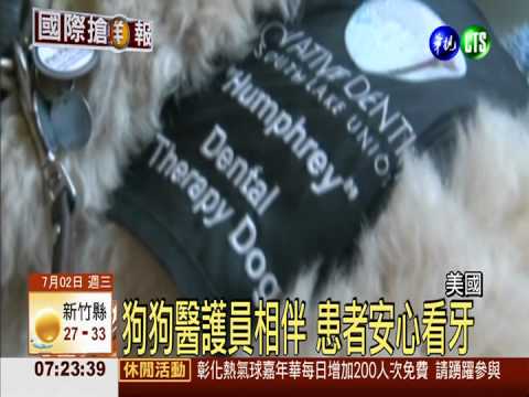 狗狗陪伴超療癒 看牙不再害怕!