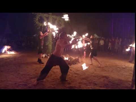 Forest Star 2016 - Klipp 13