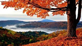 Malik mere hothon pe sab ke bas ek tera hi naam | JOHN MALAKA | yesudas