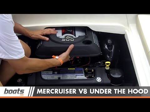 Mercruiser 6.2L V8: Service Points