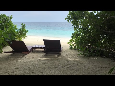 Beach villa room tour #maldives #cocoboduhithi
