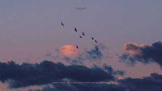 Download lagu 어디든 떠나고 싶은 날이 있다 | 𝐏𝐥𝐚𝐲𝐥𝐢𝐬𝐭 mp3