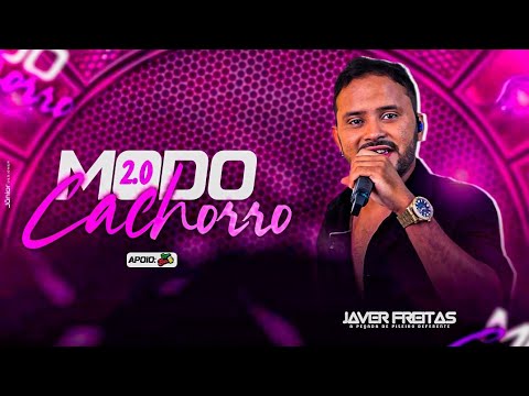 Piseiro atualizado Modo cachorro 2.0 javer freitas #piseiro 