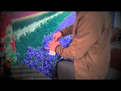 Currency by Ninh & Eric Ross -The Magic Attic