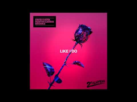 David Guetta feat. Martin Garrix & Brooks - Like I Do (2 Thunders Remix)