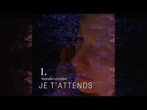 Video thumbnail for Je t'attends