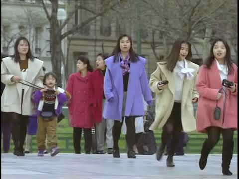 The Human Animal   3 of 6  The Human Zoo