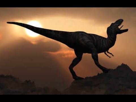 Message From Space 2