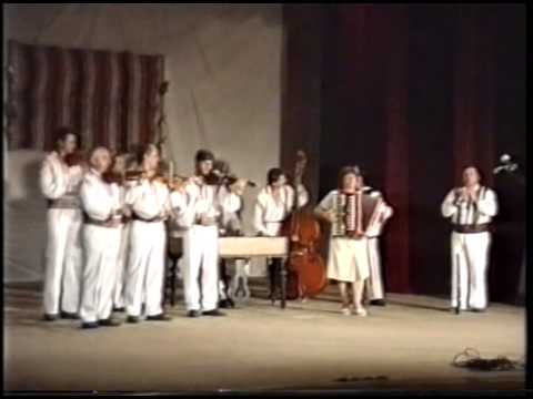 Orchestra - ensemble "Cununa de pe Someș" - 1991