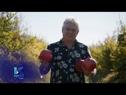 Kwêla - Gerhard Meyer (Die Granaatman)