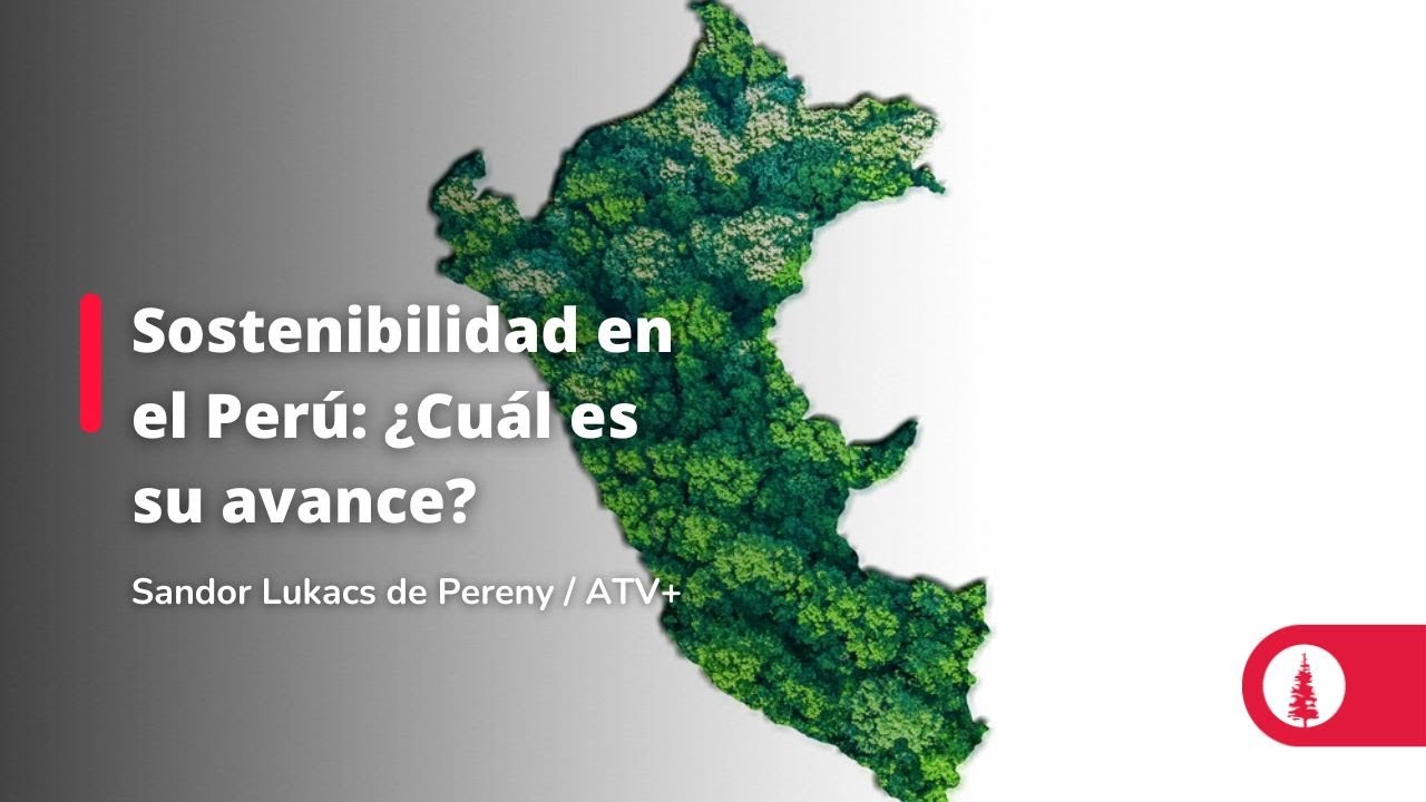 Sostenibilidad en el Perú: ¿Cuál es su avance?