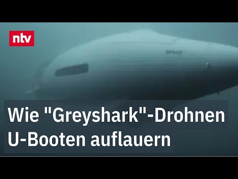 Wie die "Greyshark"-Drohnen U-Booten auflauern - In Deutschland entwickelt | ntv
