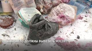 Перейти к новости Видеорепортаж о проведении проверок содержания мусорных контейнеров в нерабочие праздничные дни