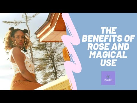 download lagu mp3 mp4 Rose Water Spiritual Benefits, download lagu Rose Water Spiritual Benefits gratis, unduh video klip Rose Water Spiritual Benefits