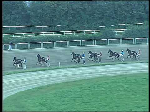 Trotto 30/09/2016 - 1ª prova di qualifica