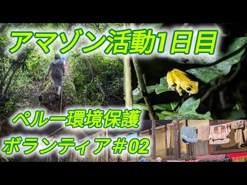 森林の動物たち: アマゾン、熱帯、ペルー、宣教師 -