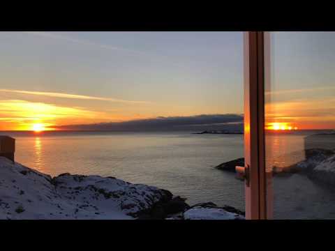 Allornerit - Qulliikka