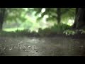 Paaus New Whatsapp Status