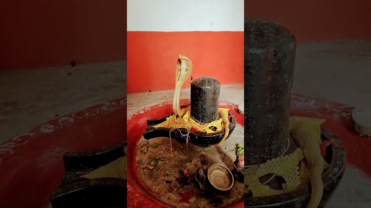 🙏 महादेव का अद्भुत चमत्कार 🔱 | Har Har Mahadev ❤️ | Shiv Bhakti Status | #shorts #mahadev #viral