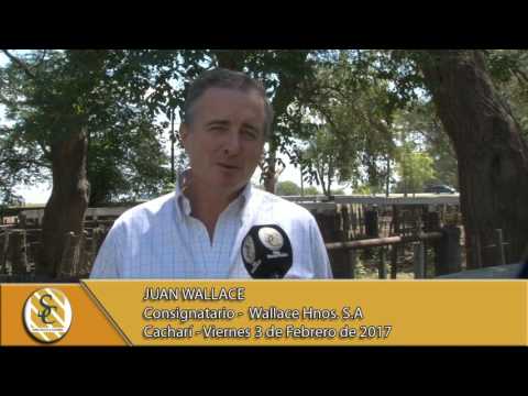 03-02-17 Nota Juan Wallace - Wallace Hnos S.A. - Cachari.