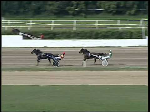 Trotto 21/09/2014 - 2° prova di qualifica e riqualifica