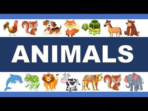 ✅ Los animales en inglés 🐅 🐓 🐕 🐘 🐧 🦈 🦆
