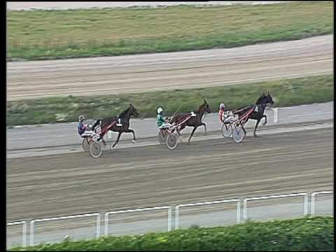 Trotto 25/06/2016 - 2° prova di qualifica