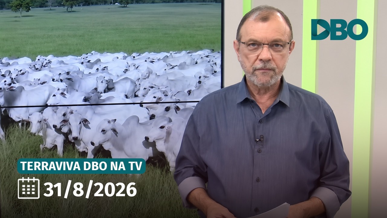 Terraviva DBO na TV – Programa do dia 31/8/2026 (Completo)