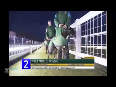 Towcester TV Live Stream