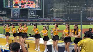【Passion Sisters】#送你們通通出局!#台湾チアリーディングチーム #中華職棒#CPBL#洲際#202409127
