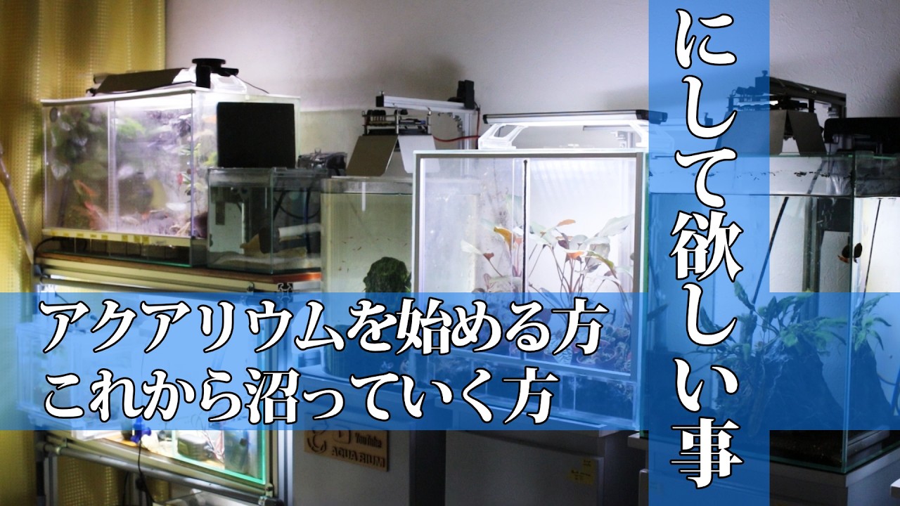 【アクアリウム初心者】たこ足配線のオンパレード！ どんどん水槽が増えて機材が増える事は良い事ですｗ 消費電力を把握して楽しいアクアリウムライフを送りましょう！