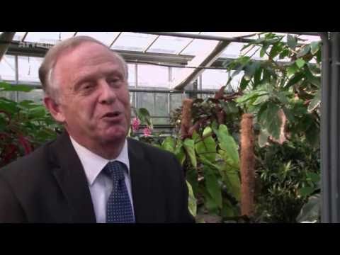 [DOKU] Wettlauf in die Zukunft - Carbon, Bio-Plastik & O-LED: Megatrends der Materialforschung