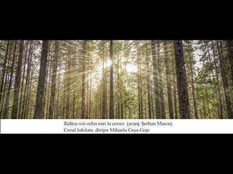 Ridica-voi ochii mei la ceruri - aranj. Șerban Marcu (Corul Jubilate, M. Goje)