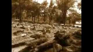 The Beatles - Good Night (Vs:Jason Falkner) (Official Video Clip) VACABIRD