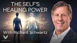 How Internal Family Systems Therapy Helps Heal Trauma | Dr. Richard Schwartz