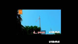 Download lagu kalsar game betha kalsariya dada mara #kalbhairav #bhaveshkantariya #viral #krunalkarshala #kalsar mp3 Download lagu kalsar game betha kalsariya dada mara #kalbhairav #bhaveshkantariya #viral #krunalkarshala #kalsar mp3
